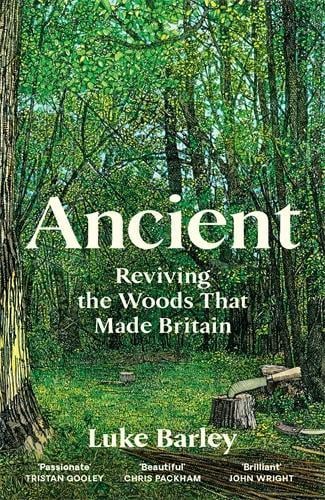 11:30 —  Into the Ancient Woods with Luke Barley @ The Chapel